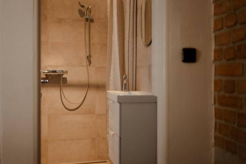 y baño con ducha y lavamanos. en Prostorný byt u centra Zlína s atmosférou venkova en Zlín