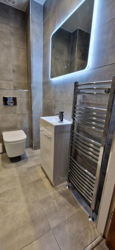 a bathroom with a toilet and a sink at Entire Apartment, Rothesay, Isle of Bute in Rothesay