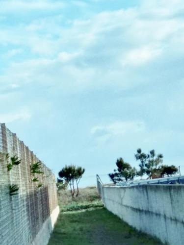 a fence at the beach with trees in the background at HAUT VILLA MESANGES EN BORD DE MER ! in Lucciana
