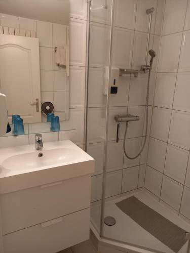 een badkamer met een douche en een wastafel bij Hebergement confort Comfortlogies La Fontanella in La-Roche-en-Ardenne
