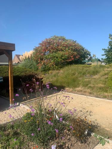 a garden with flowers on the side of a road at B&B De Vroling in Wellen