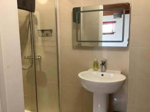 uma casa de banho com um lavatório e um chuveiro com um espelho. em Stable Cottage em Blaenporth