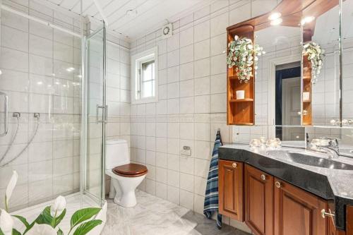 e bagno con servizi igienici, lavandino e doccia. di House in Skien/Porsgrunn a Skien