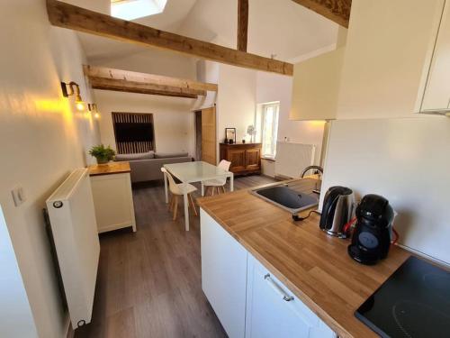 Il comprend une cuisine et un salon avec une table. dans l'établissement Joli appartement tout confort, à Chalon-sur-Saône