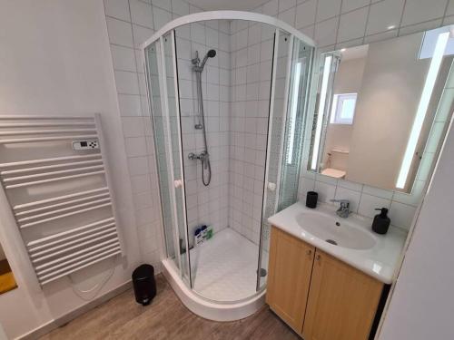 bagno con doccia e lavandino di Joli appartement tout confort a Chalon-sur-Saône