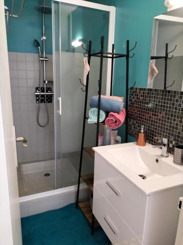 une salle de bain avec douche et lavabo dans l'établissement La Roseraie, loft 3 étoiles, calme et ensoleillé au pied des Pyrénées, à Bagnères-de-Bigorre