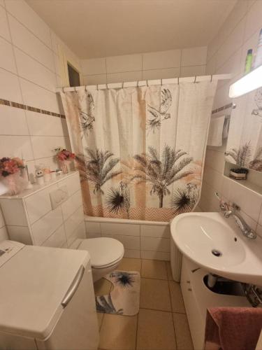 e bagno con servizi igienici, lavandino e tenda per la doccia. di Habitación de Abi a Biel