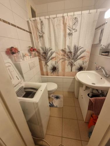 baño con lavabo y cortina de ducha en Habitación de Abi en Biel