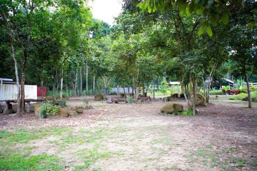 einen Park mit Bäumen und Bänken auf einem Feld in der Unterkunft CAMPSITE CMM YAN KEDAH in Yan