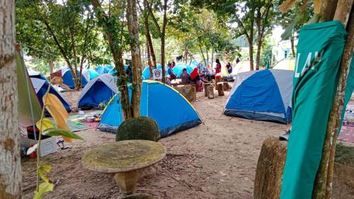 eine Gruppe von Zelten auf einem Feld mit Menschen in ihnen in der Unterkunft CAMPSITE CMM YAN KEDAH in Yan