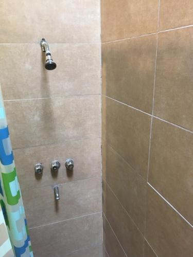 łazienka z prysznicem ze srebrnymi akcesoriami w obiekcie TERRAZAS DEL SUR w mieście Ezpeleta