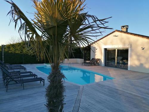 un palmier installé à côté d'une piscine dans l'établissement Les Lodges du Bousquet, à Tamniès