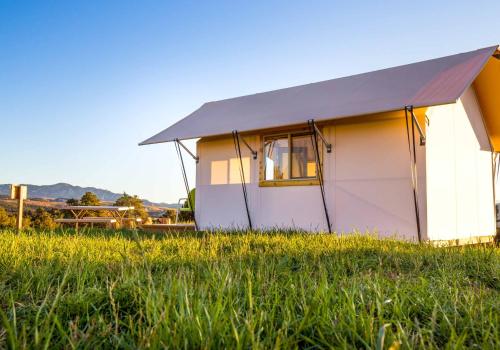 a small white tent in a field of grass at Royal Gorge Cabins in Buckskin Joe
