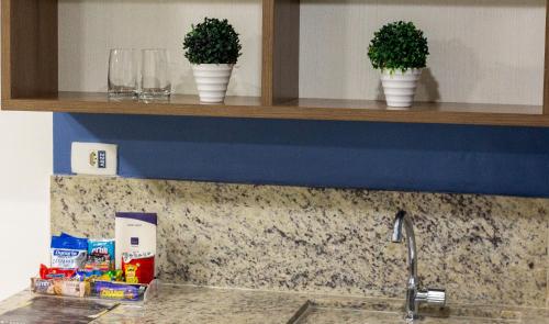 three plants on shelves above a kitchen sink at Nobile Suítes Tambaú in João Pessoa