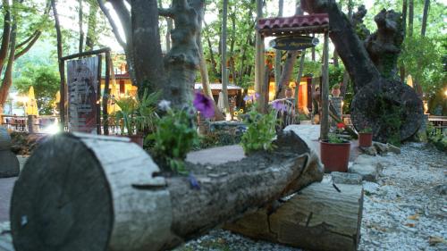 a garden with a large tree stump and plants at Margaret's Island Hotel in Naousa Imathias