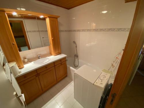 Koupelna v ubytování Duplex charmant proche du centre village Châtel - FR-1-693-5