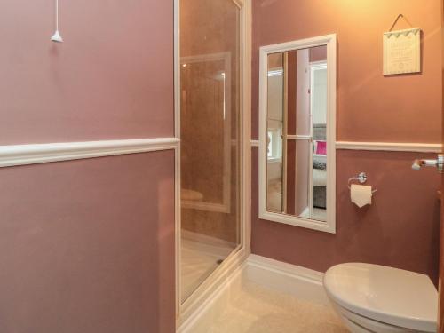 a bathroom with a shower and a toilet at Inglenook Cottage in Guisborough