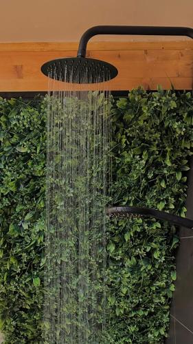 a shower filled with plants in front of a wall at Casas da Madrinha in Arcos de Valdevez