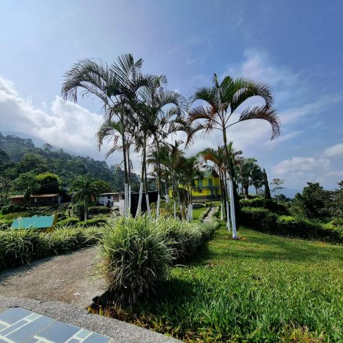 Finca turistica Santa Clara – Photos 3