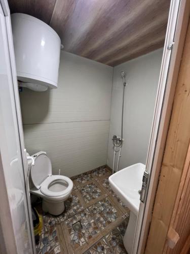 a small bathroom with a toilet and a sink at Guesthouse Ivas in Ushguli