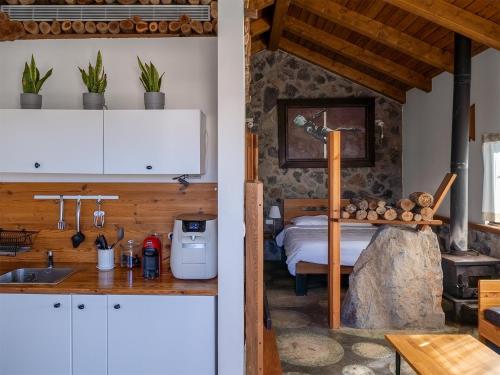 a kitchen with a sink and a bed in a room at The green and red cabins in Ma'ale Gamla