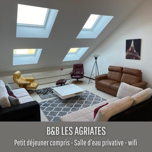 - un salon mansardé avec des lucarnes et du mobilier dans l'établissement Les AGRIATES, à Besançon