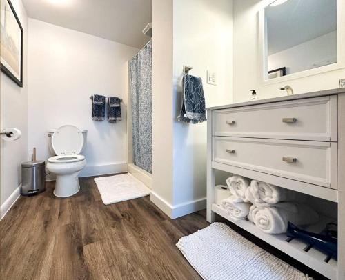 ein Bad mit einem WC und einer Kommode mit einem Spiegel in der Unterkunft Whimsical apartment near downtown Winooski in Winooski