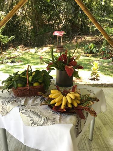 a table with baskets of bananas and plants on it at Eco-Glamping Shalom in Mariquita
