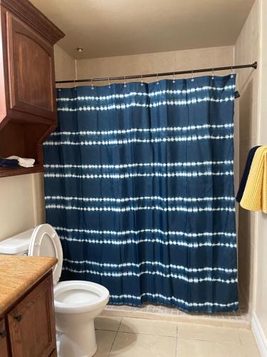 a bathroom with a blue shower curtain and a toilet at Brownsville Comfort 2 bedroom 1 bath , Spacious Kitchen and Outdoor Home in Brownsville