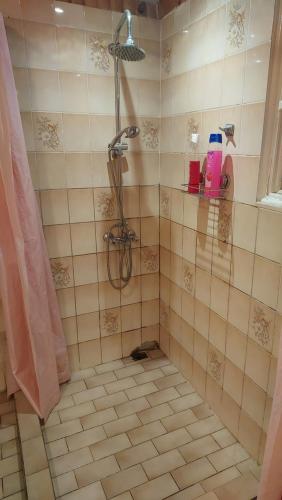a shower in a bathroom with a tiled floor at FARE AHIATA MOOREA in Moorea