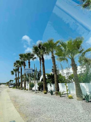 a row of palm trees on the side of a road at appartement de vacances achakar avec plage&piscine in Tangier