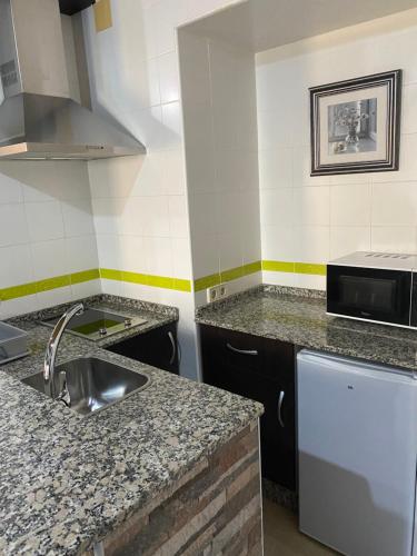 Dapur atau dapur kecil di Apartamentos Algodonales