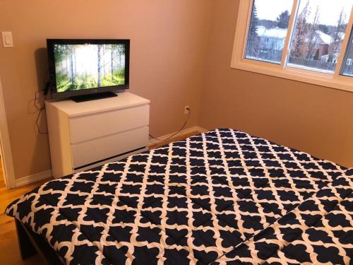 - une chambre avec un lit et une télévision à écran plat dans l'établissement 4 bed Cozy Basement Apartment with Massage, Gym, Billiards Facilities, à Whitby