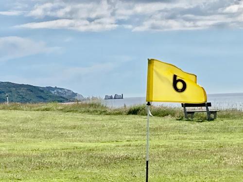 ein gelbes Schild mit einer Nummer darauf auf einem Feld in der Unterkunft CHINE COTTAGE self-catering coastal bungalow in rural West Wight in Freshwater