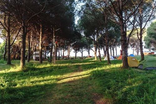 a park with tents and trees in the grass at Camping çuğra in Erdek