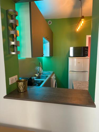 uma cozinha com paredes verdes e um frigorífico branco em Cosy 2 pièces Parc Georges Brassens em Paris