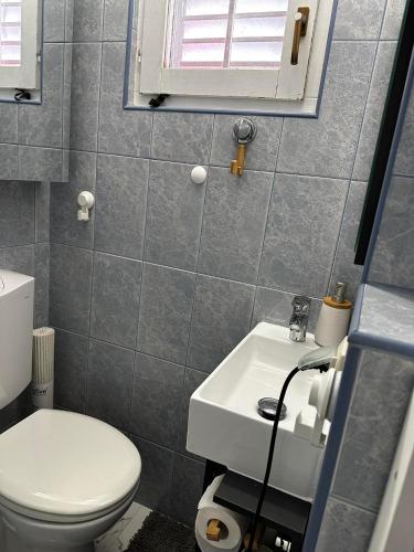 a small bathroom with a toilet and a sink at Villa Sirenis in Trogir
