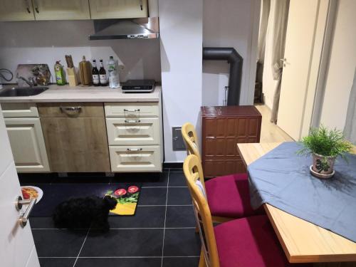 a black cat laying on the floor in a kitchen at Haus am Fluss in Urft