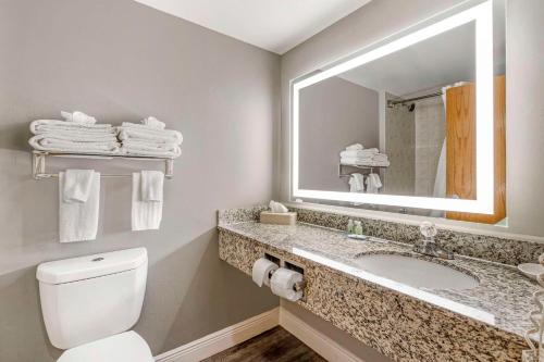 een badkamer met een toilet, een wastafel en een spiegel bij Quality Inn Conference Center at Citrus Hills in Hernando