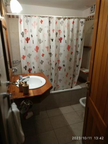 a bathroom with a sink and a shower curtain at ABROJITOS in Villa La Angostura