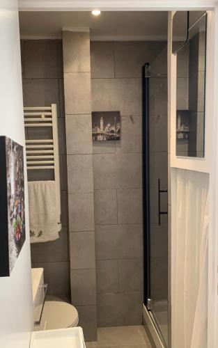 a bathroom with a shower and a toilet at NEW Private apartment Paris city center - Les Arènes Pantheon Notre-Dame Jussieu Jardin des Plantes Quai de Seine in Paris