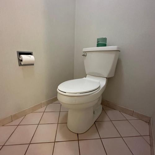 a bathroom with a toilet with a roll of toilet paper at Timberland Inn & Suites in Castle Rock