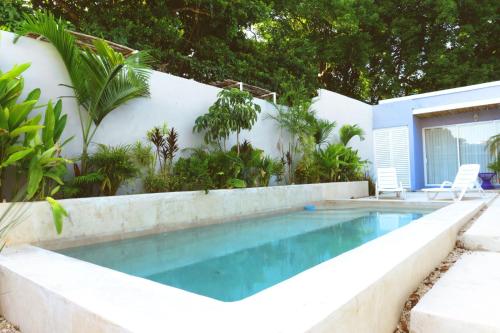 una piscina di fronte a un muro bianco di Casa Violeta a Mérida
