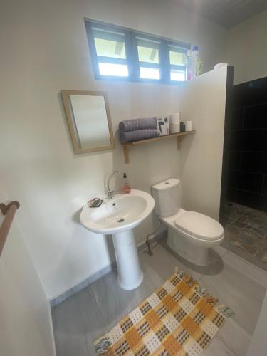 a bathroom with a white sink and a toilet at TAHITI - Bungalow Toah Toru in Taravao