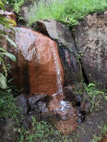 a stream of water coming out of a rock at Moonriver Lodge in Cameron Highlands