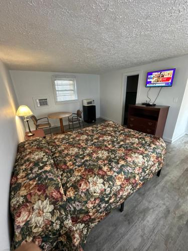 ein Schlafzimmer mit einem Bett und einem TV. in der Unterkunft CITY VIEW MOTEL in Centerville