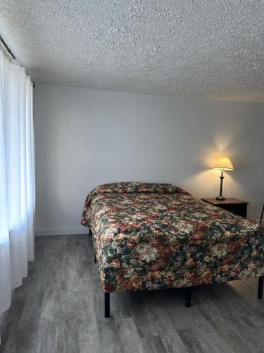 ein Schlafzimmer mit einem Bett und einer Lampe auf dem Boden in der Unterkunft CITY VIEW MOTEL in Centerville