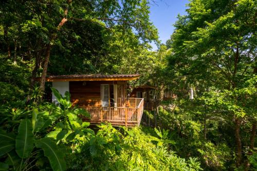 a cabin in the woods with trees at The Ocean Phangan Homestay in Haad Rin