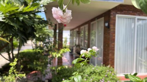 a pink flower is hanging from a house at Huyen's Home in Ba Ria
