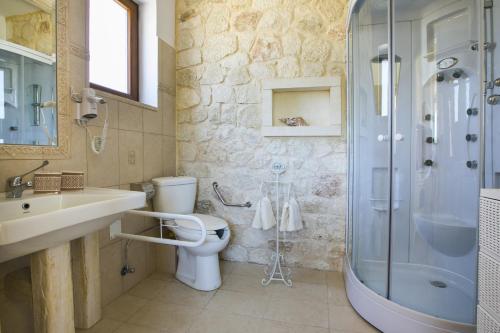 a bathroom with a shower and a toilet and a sink at Villa Ydria in Chavriáta